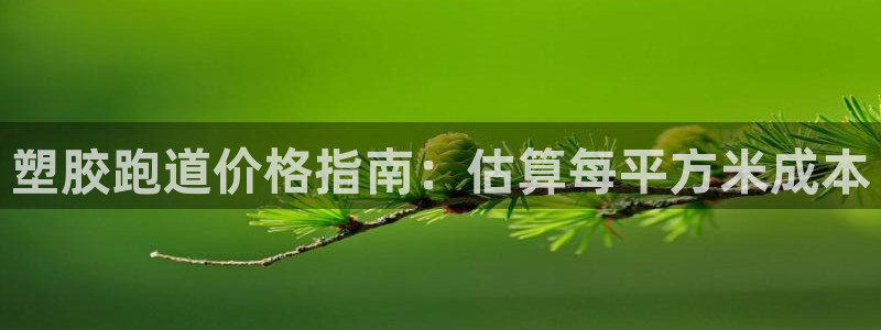 红足一1世666814最新结果：塑胶跑道价格指南：估算每平方米成本