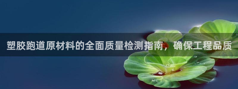 红足一1世手机版赛果：塑胶跑道原材料的全面质量检测指南，确保工程品质
