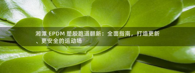 红足一1世手机版新皇冠：湘潭 EPDM 塑胶跑道翻新：全面指南，打造更新
、更安全的运动场