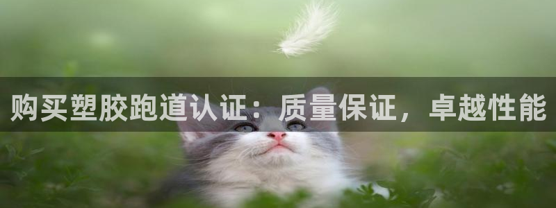 红足1世1站2站管理网：购买塑胶跑道认证：质量保证，卓越性能