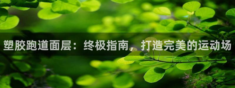 红足一1世开奖记录：塑胶跑道面层：终极指南，打造完美的运动场