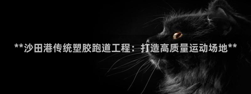 红足1一世：**沙田港传统塑胶跑道工程：打造高质量运动场地**