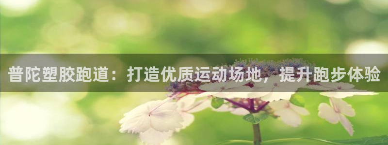 红足1世足球网址：普陀塑胶跑道：打造优质运动场地，提升跑步体验