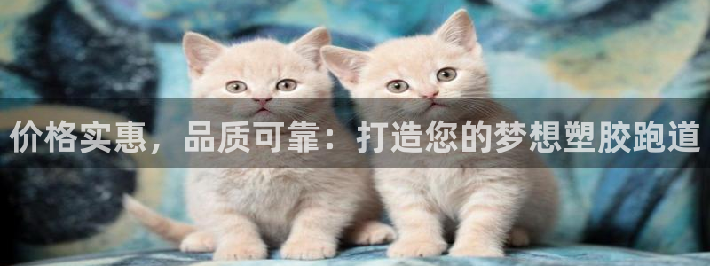 红足一比分网：价格实惠，品质可靠：打造您的梦想塑胶跑道