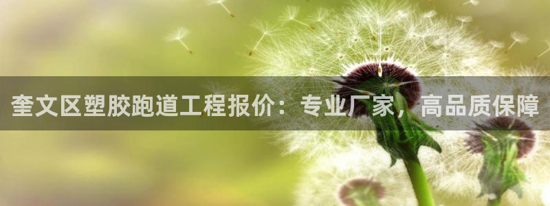 百度红足一1是什么样子的：奎文区塑胶跑道工程报价：专业厂家，高品质保障