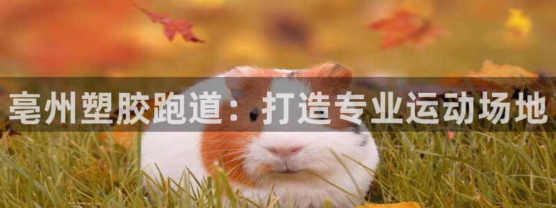 红足一1世比分网：亳州塑胶跑道：打造专业运动场地
