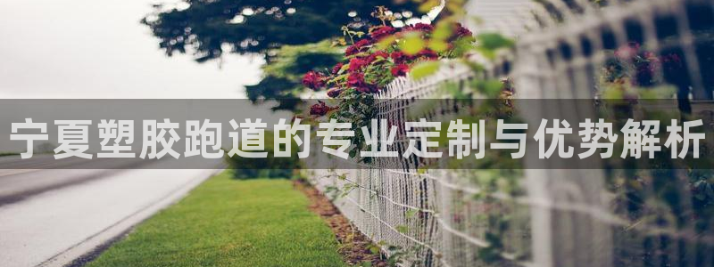 4633333开奖结果4176一点红：宁夏塑胶跑道的专业定制与优势解析