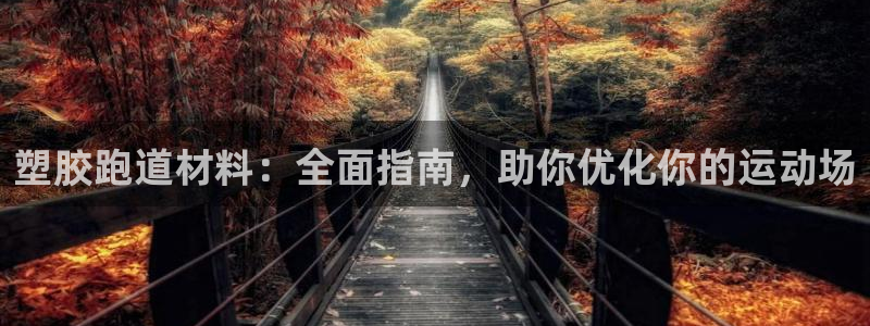 红足一1世皇冠：塑胶跑道材料：全面指南，助你优化你的运动场