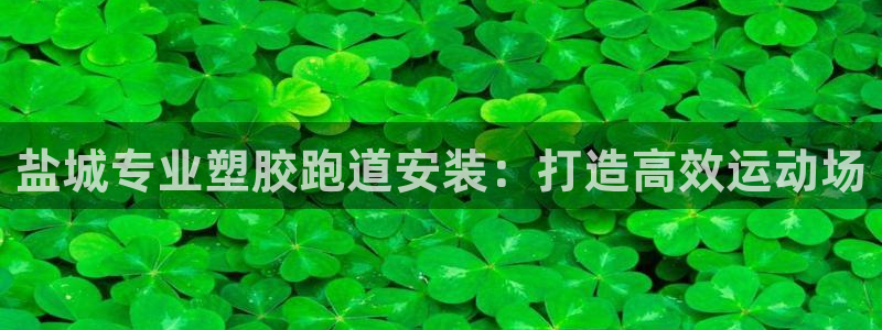 红足i世足球手机网：盐城专业塑胶跑道安装：打造高效运动场