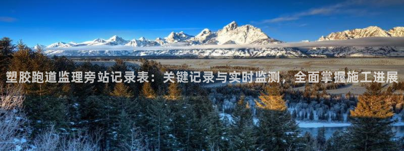 红足1世1站：塑胶跑道监理旁站记录表：关键记录与实时监测，全面掌握施工进展