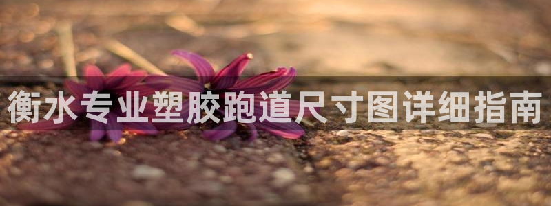 红足一1世手机开奖：衡水专业塑胶跑道尺寸图详细指南