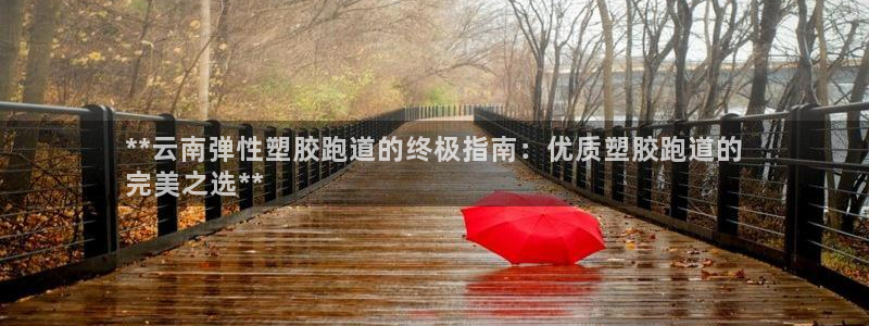 红世一足球比分：**云南弹性塑胶跑道的终极指南：优质塑胶跑道的
完美之选**