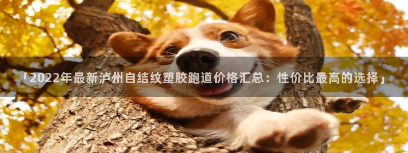 新2足球平台出租网站：「2022年最新泸州自结纹塑胶跑道价格汇总：性价比最高的选择」