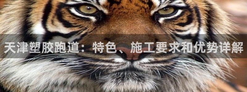 4633333开奖结果4176一点红：天津塑胶跑道：特色、施工要求和优势详解