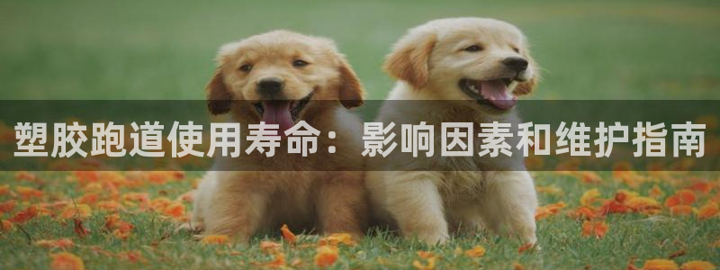 红足1一世：塑胶跑道使用寿命：影响因素和维护指南