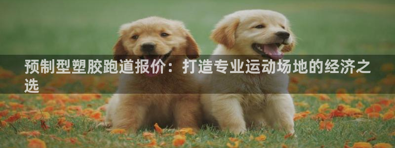 红足一1世手机皇冠：预制型塑胶跑道报价：打造专业运动场地的经济之
选