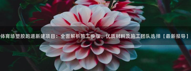 红足一1世手机版新皇冠：体育场塑胶跑道新建项目：全面解析施工步骤、优质材料及施工团队选择【最新报导】