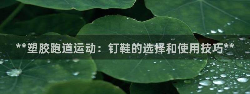 红足一比分网：**塑胶跑道运动：钉鞋的选择和使用技巧**