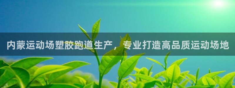 红足1世足球比分网址：内蒙运动场塑胶跑道生产，专业打造高品质运动场地