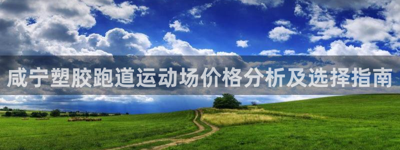 红足i世足球手机网：咸宁塑胶跑道运动场价格分析及选择指南