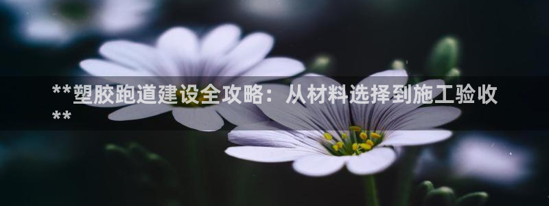 红足 世足球手机网：**塑胶跑道建设全攻略：从材料选择到施工验收
**