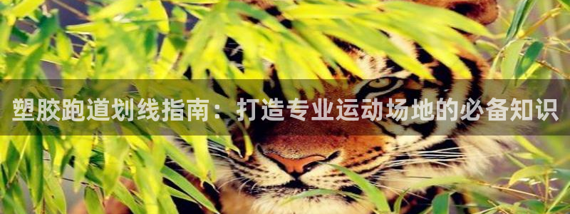 红足一1世77814：塑胶跑道划线指南：打造专业运动场地的必备知识