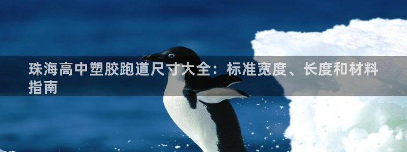红足1世手机版下载：珠海高中塑胶跑道尺寸大全：标准宽度、长度和材料
指南