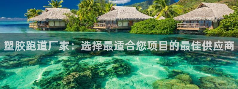 红足1世足球网址大全：塑胶跑道厂家：选择最适合您项目的最佳供应商