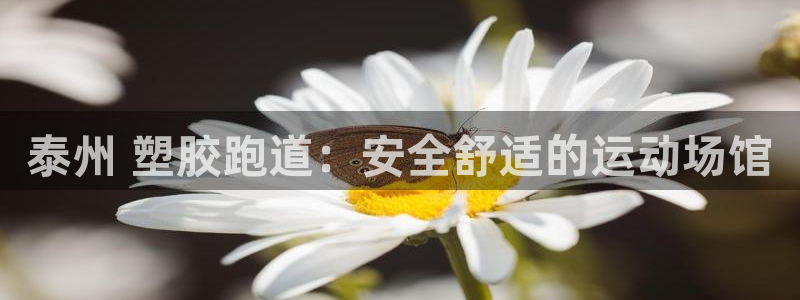 红足一1世手机开奖：泰州 塑胶跑道：安全舒适的运动场馆