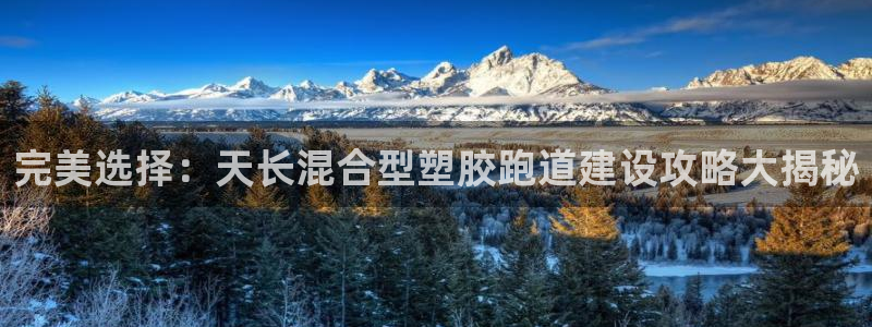 新2足球平台出租网站：完美选择：天长混合型塑胶跑道建设攻略大揭秘