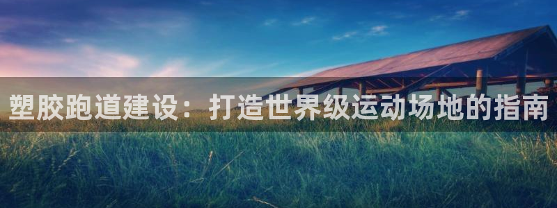 红足一1世：塑胶跑道建设：打造世界级运动场地的指南