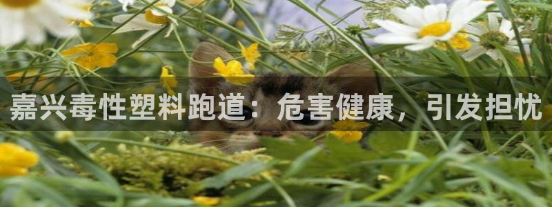 红足一一世足球网开奖记录：嘉兴毒性塑料跑道：危害健康，引发担忧