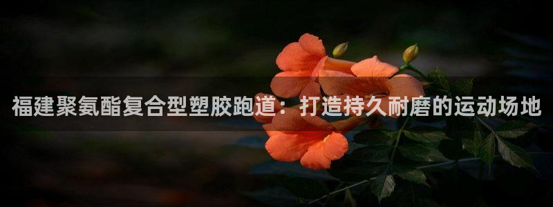 红足一1世手机版新皇冠：福建聚氨酯复合型塑胶跑道：打造持久耐磨的运动场地