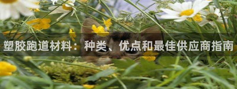 红足一1世手机开奖：塑胶跑道材料：种类、优点和最佳供应商指南