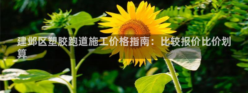 红足i世足球手机网：建邺区塑胶跑道施工价格指南：比较报价比价划
算