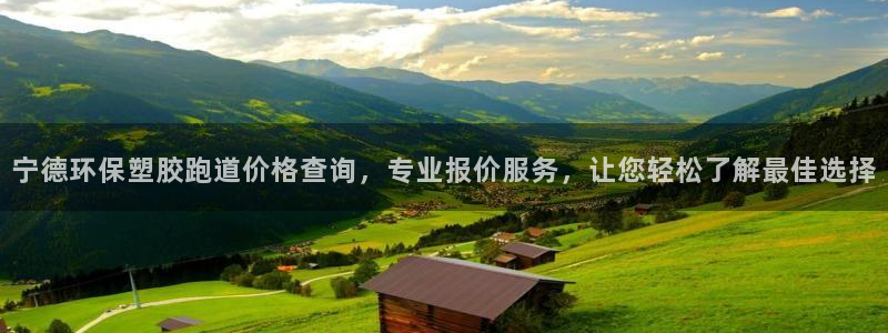 红足一球：宁德环保塑胶跑道价格查询，专业报价服务，让您轻松了解最佳选择