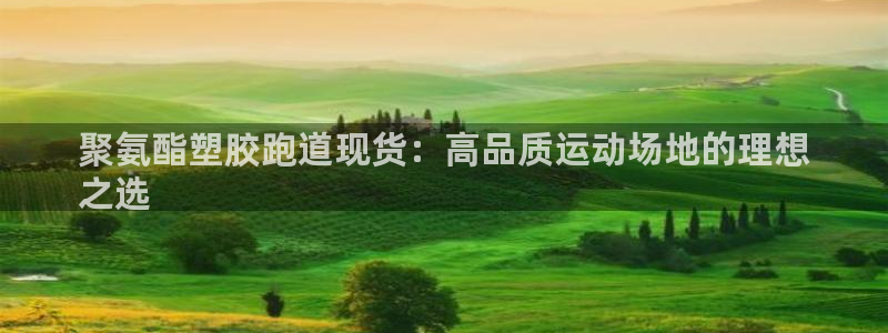 红足一丰：聚氨酯塑胶跑道现货：高品质运动场地的理想
之选
