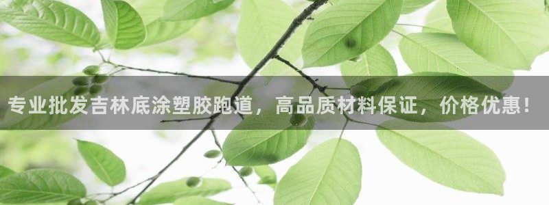 红足1一世红：专业批发吉林底涂塑胶跑道，高品质材料保证，价格优惠！