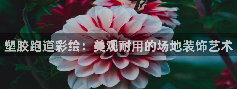 百度红足一1世：塑胶跑道彩绘：美观耐用的场地装饰艺术