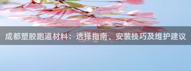 333814红·足一世比分：成都塑胶跑道材料：选择指南、安装技巧及维护建议