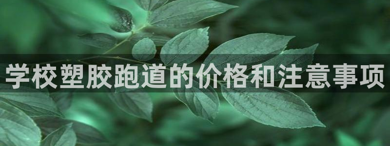 红足一1世666814足球比分网：学校塑胶跑道的价格和注意事项