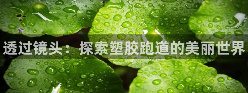 333814红·足一世比分：透过镜头：探索塑胶跑道的美丽世界