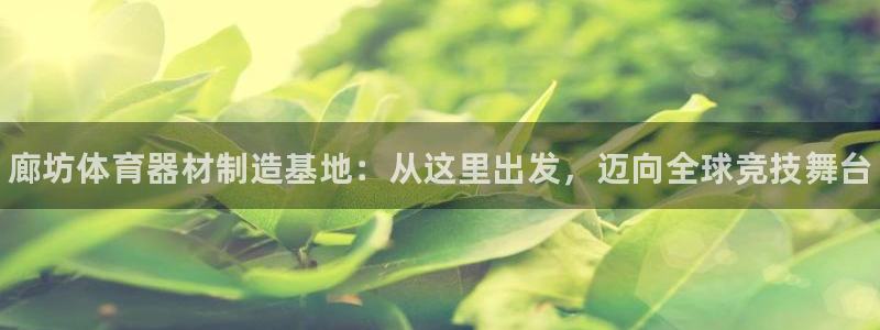 必一运动bsport体育
