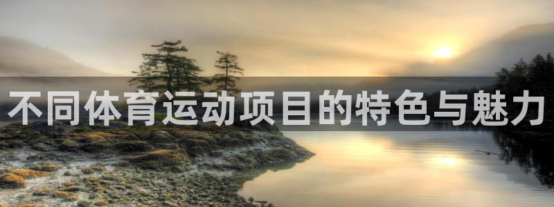 bsports官网 必一运动