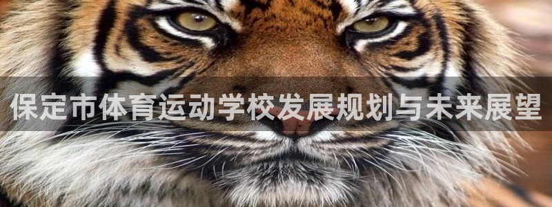 必一运动体育官网入口