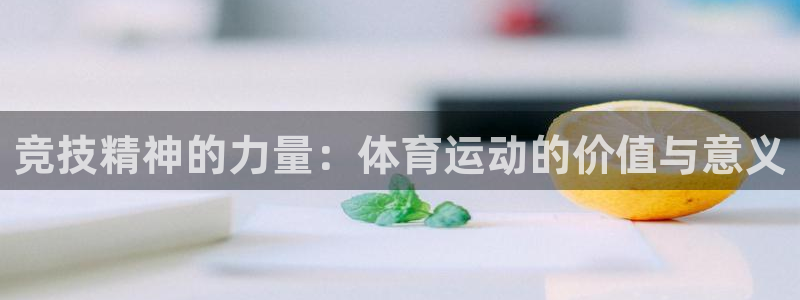 必一运动bsport体育