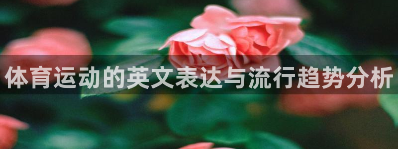 必一运动