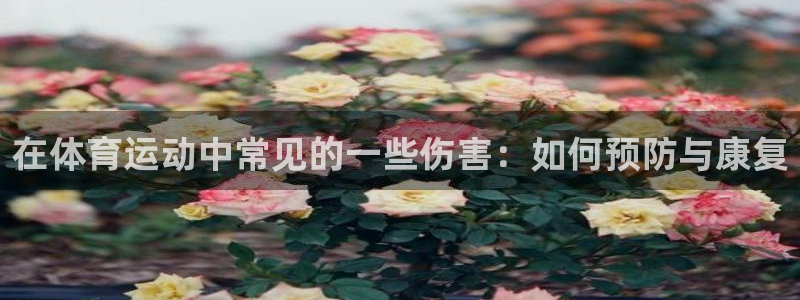 必一运动体育官网
