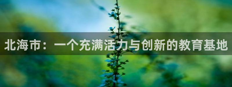 必一运动官网