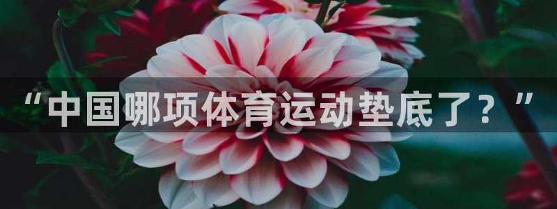 必一运动体育